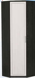 Шкаф для одежды угловой ДЛЯ ГОСТИНОЙ ШОУ-695 Венге/Дуб выбеленный в Бердске - berdsk.mebel54.com | фото