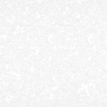 Столешница 3000*600/38мм (№ 63 Белый королевский жемчуг) в Бердске - berdsk.mebel54.com | фото